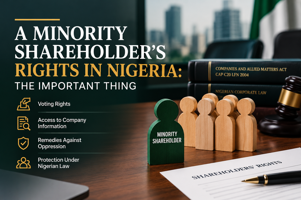 A minority shareholder's rights